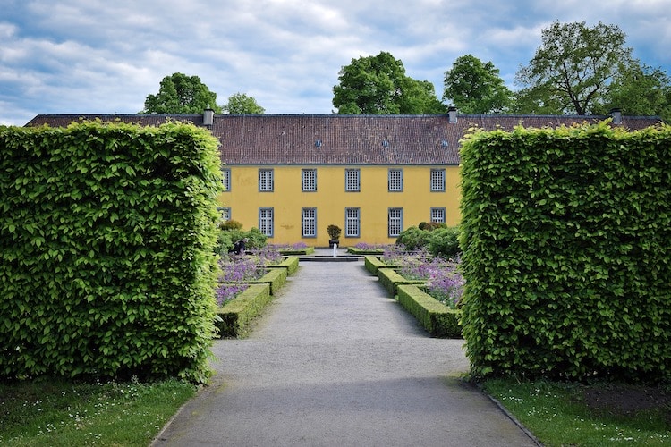 Kleine Bäume für den Garten Pflegeleicht und eindrucksvoll